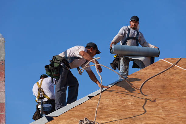 Best Roof Gutter Cleaning  in Ashland, MO